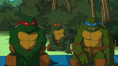 Teenage Mutant Ninja Turtles : Reflections'