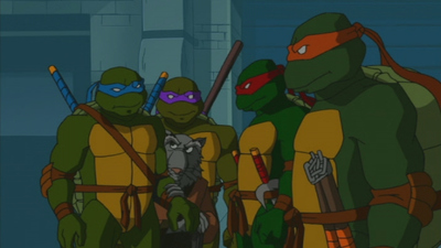 Teenage Mutant Ninja Turtles : The Ultimate Ninja'