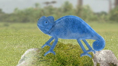 Wonder Pets : Save the Chameleon!/Save the Platypus!'