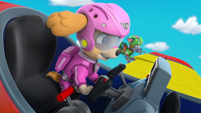 PAW Patrol : Pups Save the Gliding Turbots/Pups Save a Plane'