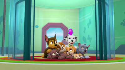 PAW Patrol : Pups Get Growing/Pups Save a Space Toy'