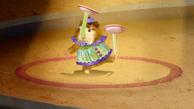 Wonder Pets : Join the Circus!'