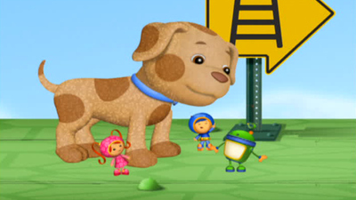 Team Umizoomi : Buster the Lost Dog'