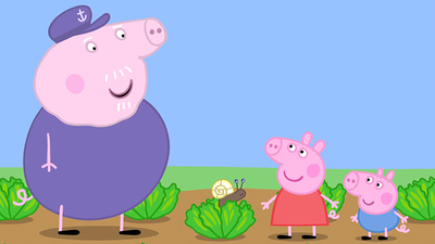 Peppa Pig : Tiny Creatures/Daddy Pigs Office/Pirate Island/George Catches a Cold/The Balloon Ride'