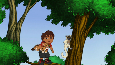 Go, Diego, Go! : Leaping Lemurs'