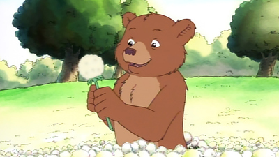 Maurice Sendak's Little Bear : The Dandelion Wish/The Broken'