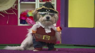 Mutt & Stuff : Puppy Pirates!'