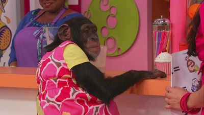 The Fresh Beat Band : Chimps in Charge'