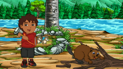 Go, Diego, Go! : Diego salva os castores'