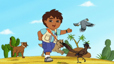 Go, Diego, Go! : A grande corrida de cucos'