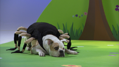 Mutt & Stuff : The Happy Hallowoof Party'