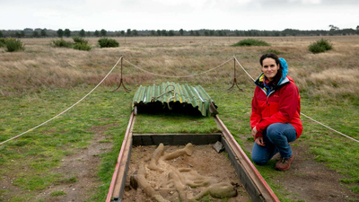 Mystic Britain : The Sand Bodies of Sutton Hoo'