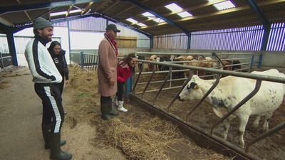 Geordie Shore : Episódio 8'