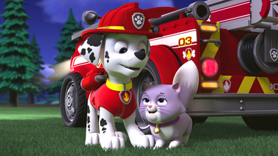 PAW Patrol : Pups Save a City Kitty/Pups Save a Cloud Surfer'
