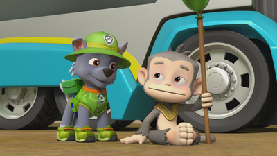 PAW Patrol : Pups Save Big Hairy/Pups Save a Flying Kitty'