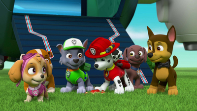 PAW Patrol : Pups Save an Extreme Lunch/Pups Save a Cat Burglar'
