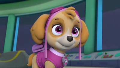 PAW Patrol : Pups Save a High Flying Skye/Pups Go for the Gold'
