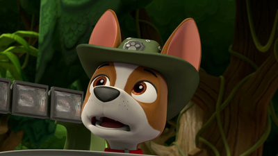 PAW Patrol : Los cachorros y las burbujas apestosas / Los cachorros salvan a los avestruces bebés'