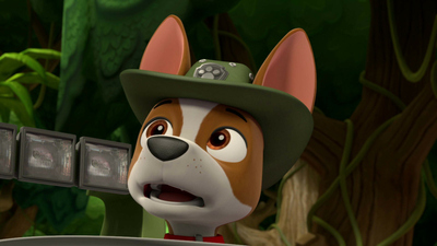 PAW Patrol : Pups and the Stinky Bubble Trouble/Pups Save the Baby Ostriches'