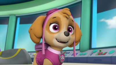 PAW Patrol : Los cachorros salvan un camión de basura/ Los cachorros salvan la armadura real'