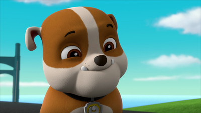 PAW Patrol : Los cachorros salvan a un patinador en cohete / Los cachorros salvan la sorpresa de Ryder'