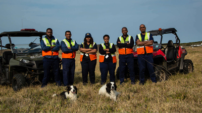 Dogs With Extraordinary Jobs : The Lifesavers'