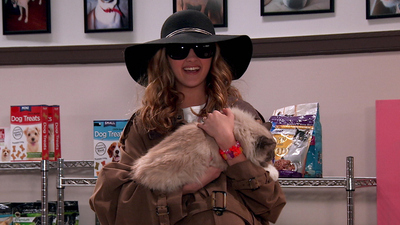 Nicky, Ricky, Dicky & Dawn : Verbotene Liebe'