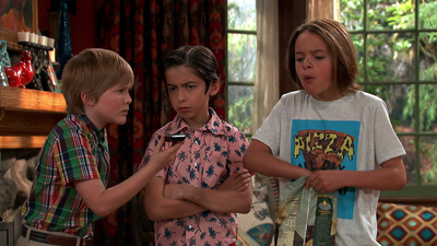 Nicky, Ricky, Dicky & Dawn : Dawns Idol'