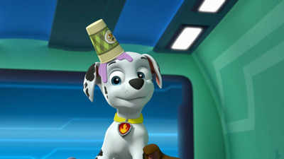 PAW Patrol : Pups Save the Balloon Pups/Pups Save the Spider Spies'
