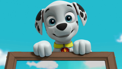 PAW Patrol : Pups Save a Humsquatch/Pups Save a Far Flung Flying Disc'