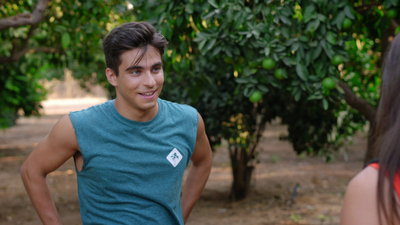 Nickelodeon's Spyders : El cristal'