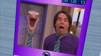 iCarly : Pleiten, Pech und Patzer'