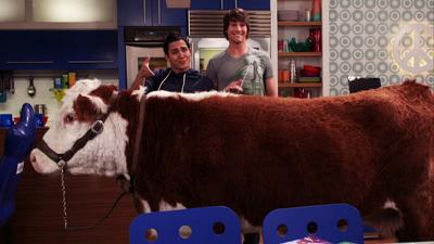 Big Time Rush : Big Time Voll Grün'