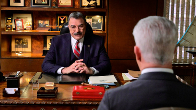 Blue Bloods : Reality Check'