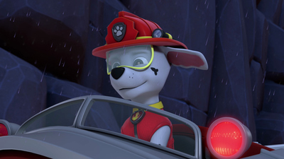 PAW Patrol: Patrulla de Cachorros : ¡Los cachorros salvan a los elefantes asustados!/¡Los cachorros salvan al vaquero cantante!'