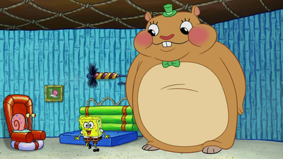 Bob L'Eponge : Le retour de Microbe / Le bilan de santé'