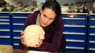 Mystisches Großbritannien : Wiedergänger'