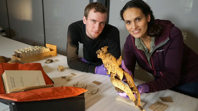 Mystisches Großbritannien : Hexen und Dämonen'