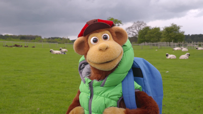 Watch Milkshake! Monkey's Amazing Adventures: Milkshake! Monkey's ...
