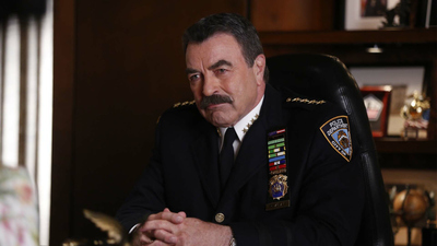 Blue Bloods : The Greater Good'