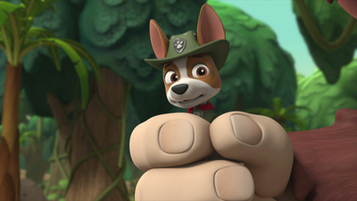 PAW Patrol : Pups Save Little Hairy/Pups Save a Kooky Climber'