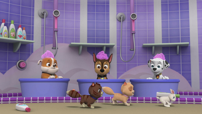 La Pat Patrouille : Toilettage à domicile / Monsieur Hellinger, pilote d'hélicoptère'