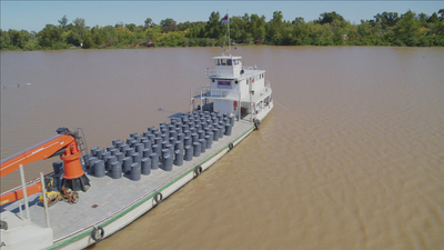 The Challenge: EUA : No Tyson Confiamos'