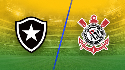 Brazil Campeonato Brasileirão Série A : Botafogo vs. Corinthians'