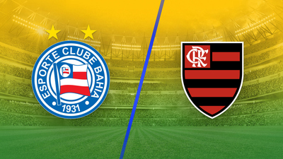 Brazil Campeonato Brasileirão Série A : Bahia vs. Flamengo'