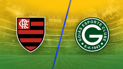 Brazil Campeonato Brasileirão Série A : Flamengo vs. Goiás'