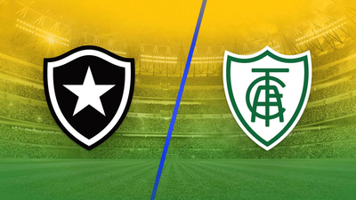 Brazil Campeonato Brasileirão Série A : Botafogo vs. América Mineiro'