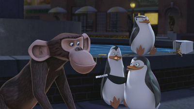 The Penguins of Madagascar : Misfortune Cookie/Monkey Love'