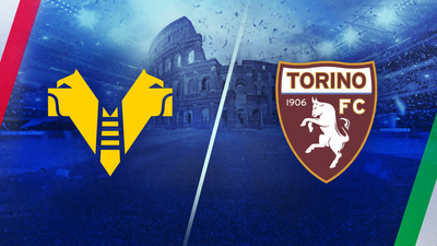 Serie A : Hellas Verona vs. Torino'