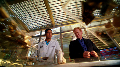 CSI: Miami : Arrepentimientos Mortales'